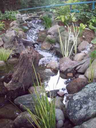 stream